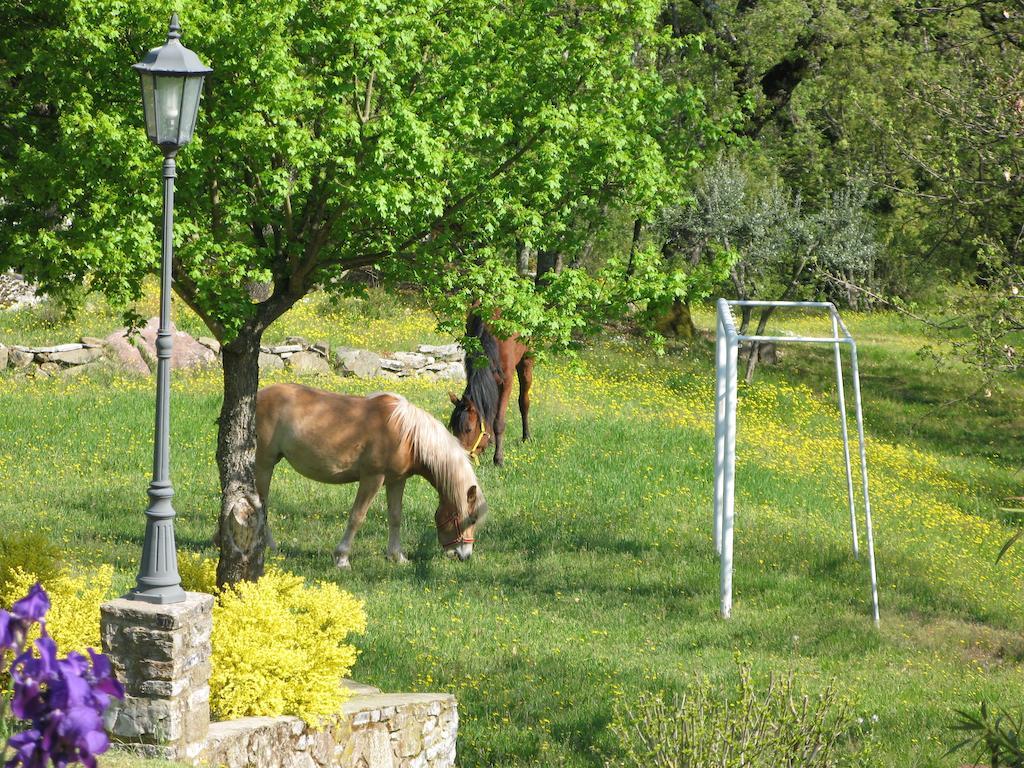 La Ghiandaia Casa Vacanza Lucolena in Chianti Exterior photo