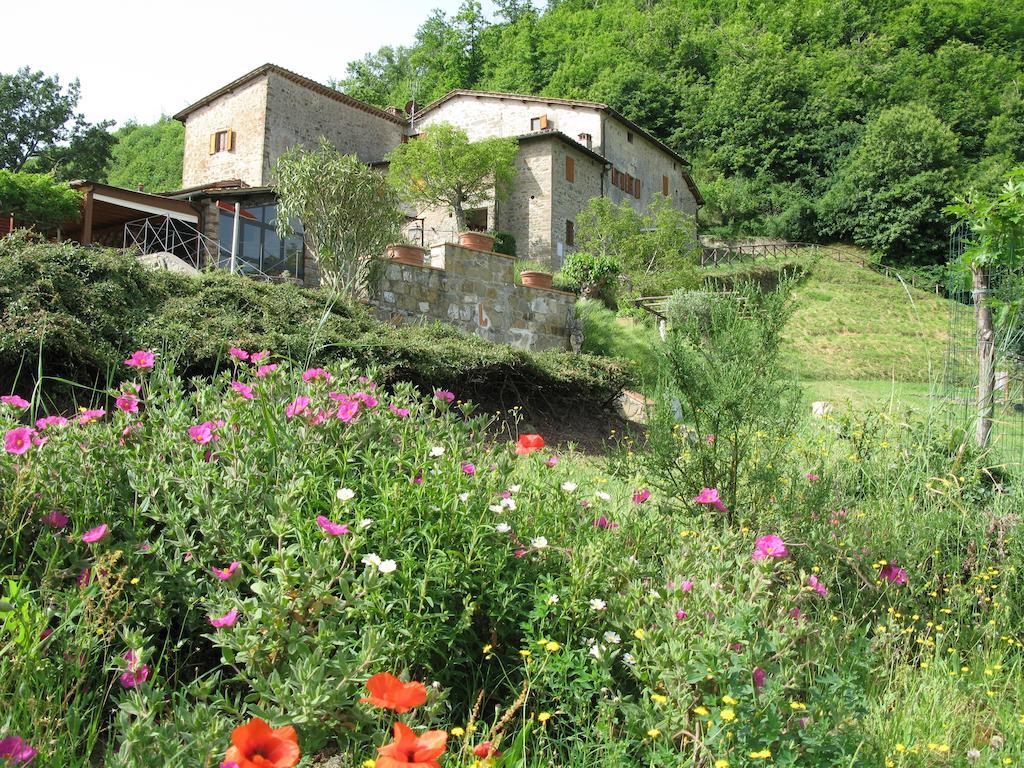 La Ghiandaia Casa Vacanza Lucolena in Chianti Exterior photo